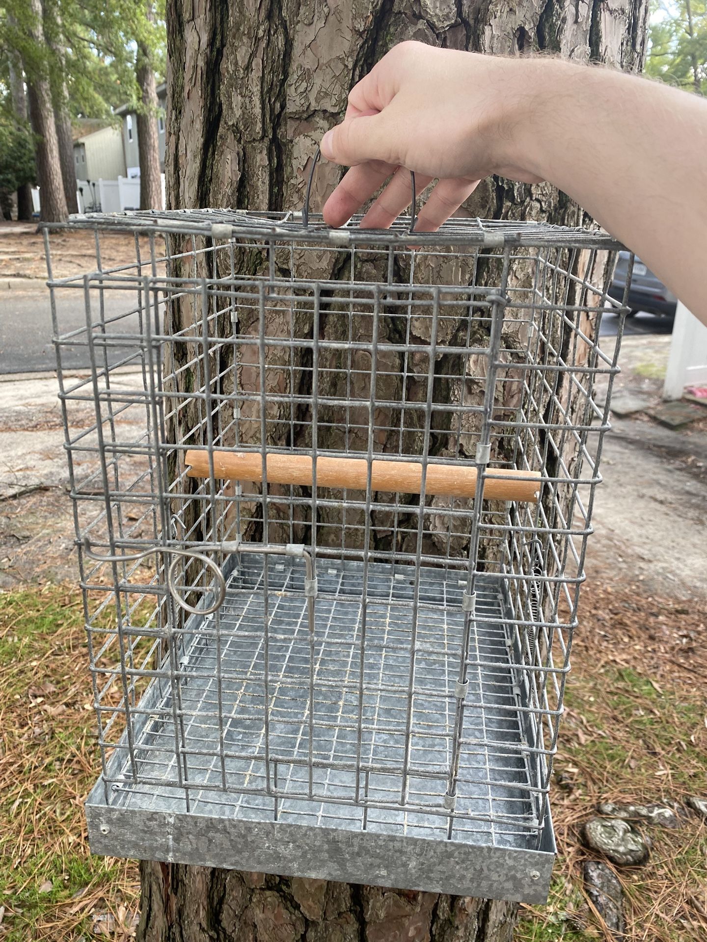 Metal Traveling Bird Cage