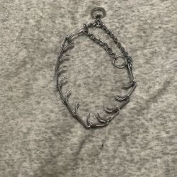 Training Collar
