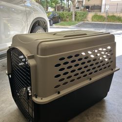 Dog Kennel