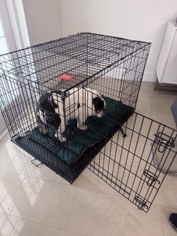 Large Black Wire Dog Crate with Divider