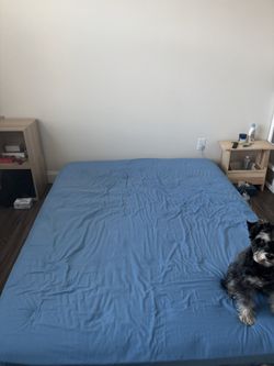 IKEA Queen Size Mattress + Fitted Sheet