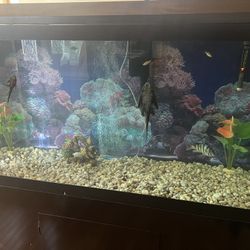 90 Gallon Fish Tank 