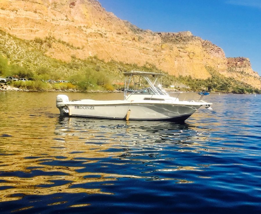 1990 Donzi F23 Walk Around 2002 Evinrude 250