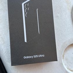 Galaxy S25 Ultra 