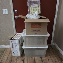 Chocolate Molds, Molds