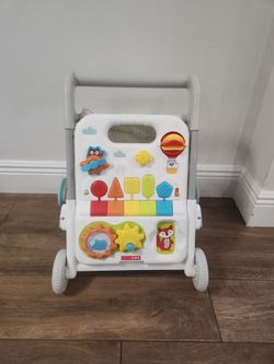 Skip Hop 4 in 1 Walker