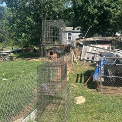 Cages 