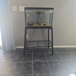 Fish Tank