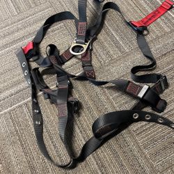 Body Harness 