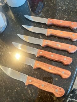 International Stainless Steel Steak Knife Set of 6