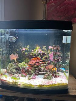 Aquapod 24gal Saltwater Nano Reef Tank