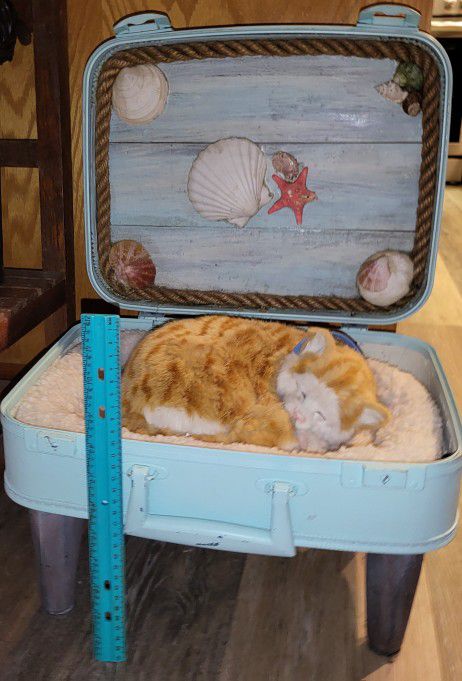Upscaled Repurposed Nautical Suitcase Pet Bed $25.00