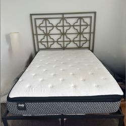 Free Full Size Mattress