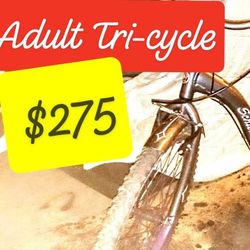 Schwinn Meridian Adult Tricycle Bike

