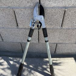 Tree Scissors / Trimmers 