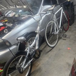 Wee-Ride Co-Pilot Bike Attachment 