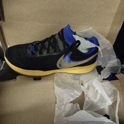 Labron Uninterrupted, size 12.