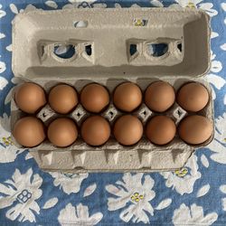 Farm Fresh Eggs 