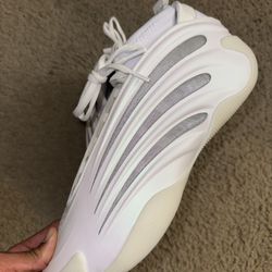 Adidas Harden 9 Sample Size 15 