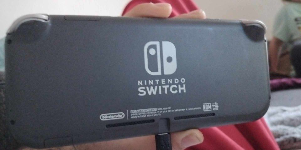 Nintendo Switch Lite! 