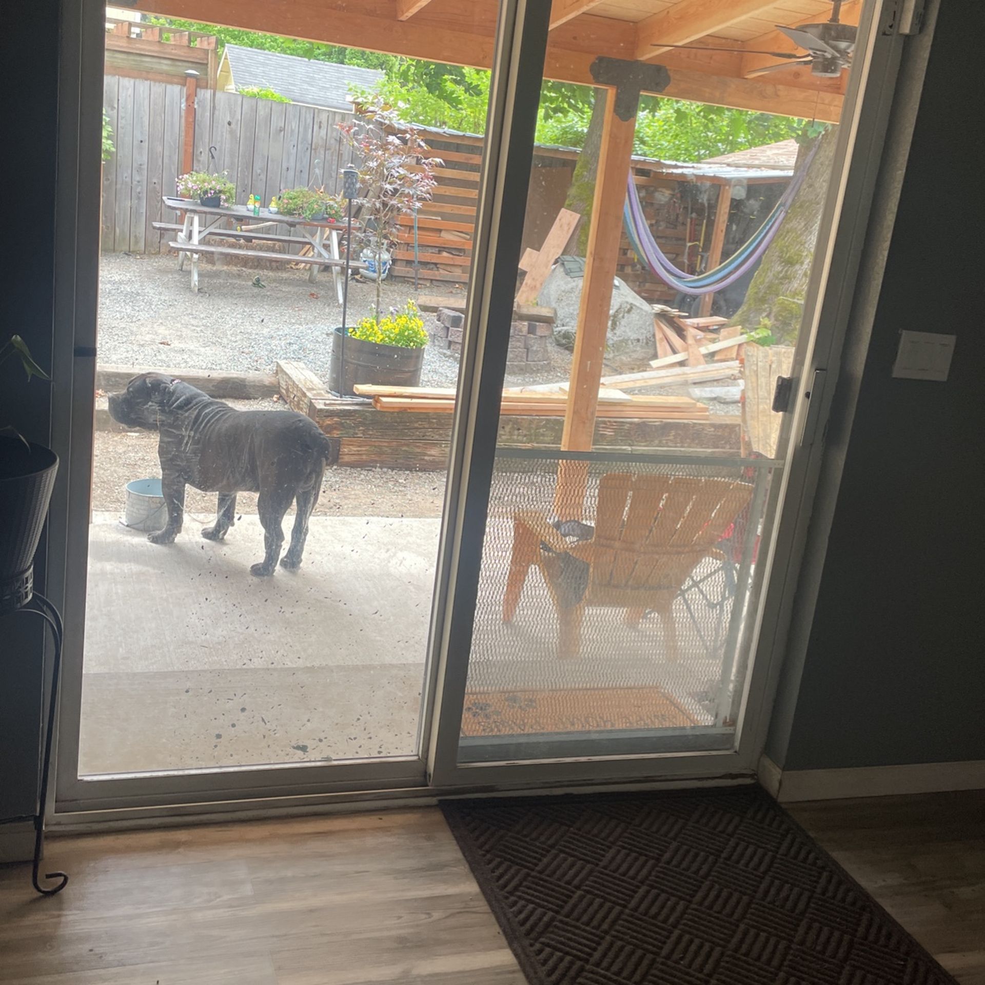 Sliding Glass Door