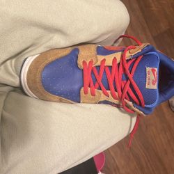 Sb Nike Dunk low pro