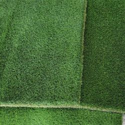 Artificial Turf Grass $3