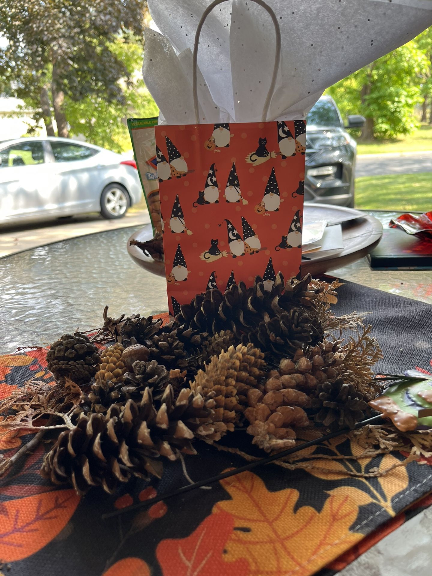 Pine cones