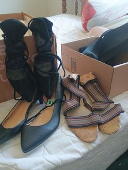 Zapatis diferentes estilos nuevos
