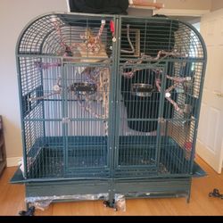 Cage Bird Parrot Monkey Cage