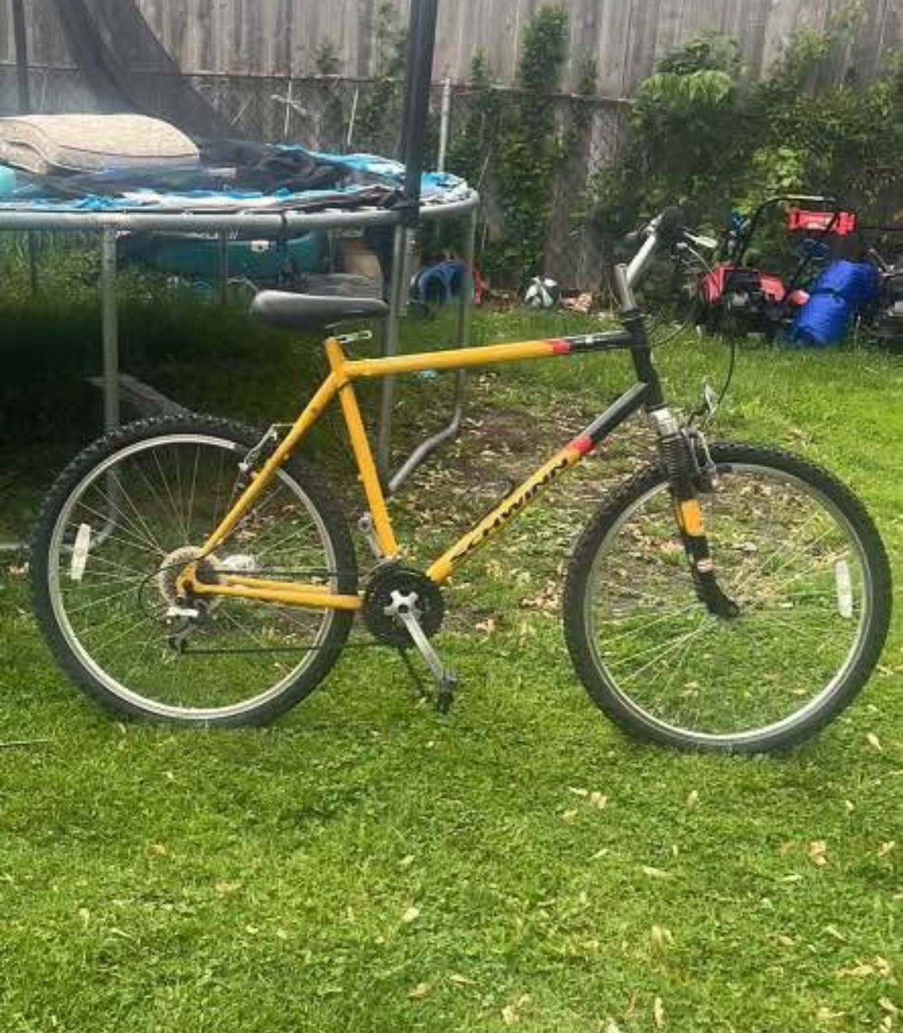 Schwinn Bike