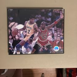 MJ vs Magic Official Upper Deck Picture Framed 