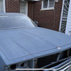 G-body Parts - Hood And Trunk Lid For A 1980 Malibu