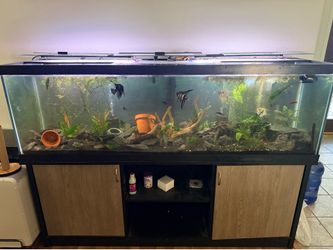 125 gal fish tank and stand