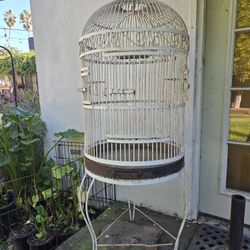 White Wrought Iron Birdcage 