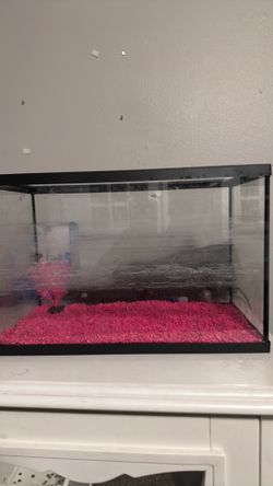 Tank