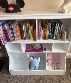 Toy storage and book case