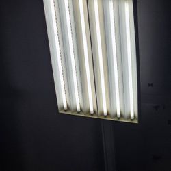 Free 4ft Light Bulbs