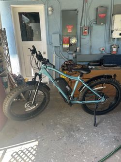 Electric Bike