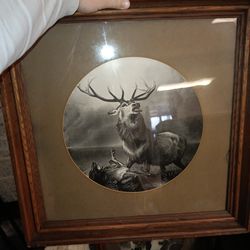 Antique Pictures(rare+appraised)