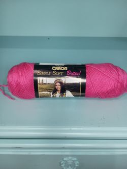 Caron Simply Soft Brites Yarn, WATERMELON, #2604