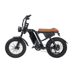 Electric Bike 750w Like New Under 100 Miles