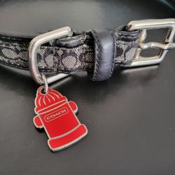 Coach medium sales dog collar