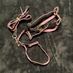 Extra Small Leash, Collar, and harness 