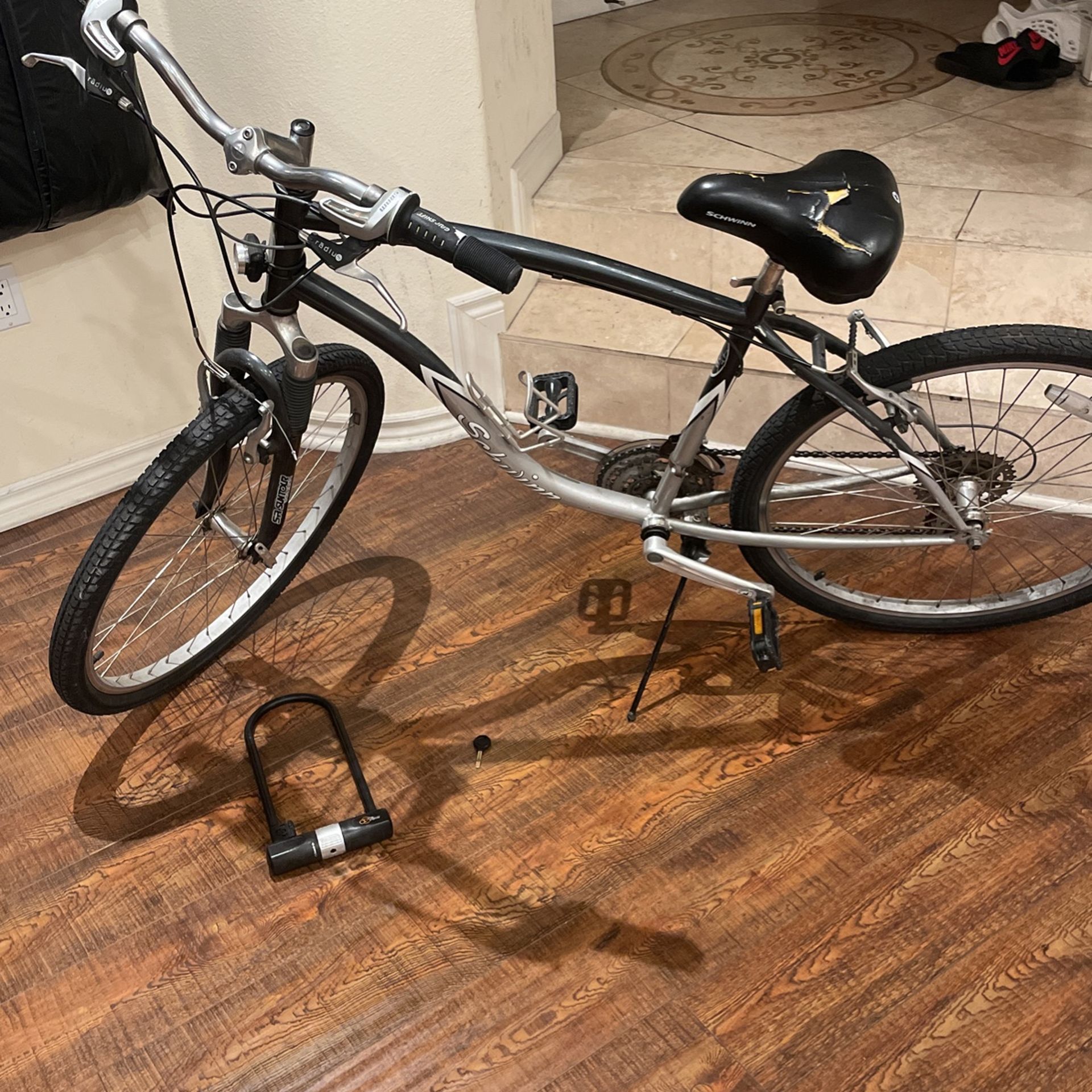 skyliner schwinn