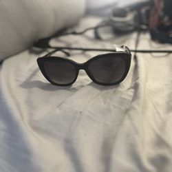 Women’s Coach Sunglasses 