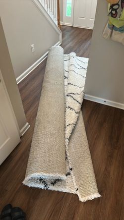 Living room rug
