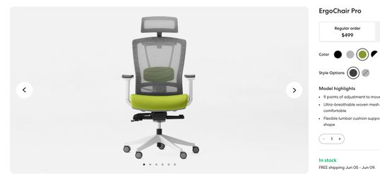 Ergochair Pro