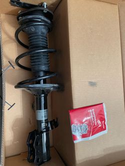 Suspension strut and coil spring assembly