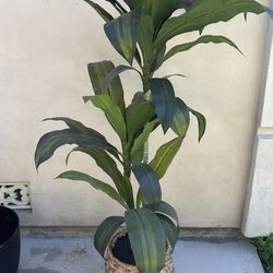 Plant (artificial)
